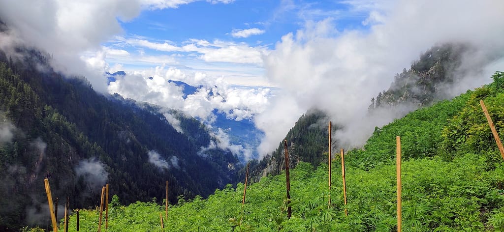 Paradise among himalayas